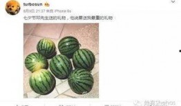 朝阳吃瓜网 2024大瓜事件,年度大瓜事件盘点