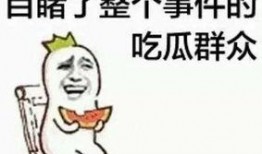 朝阳吃瓜群众 明星资讯号是什么,明星资讯号的幕后故事