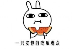 吃瓜网
