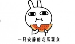 吃瓜网